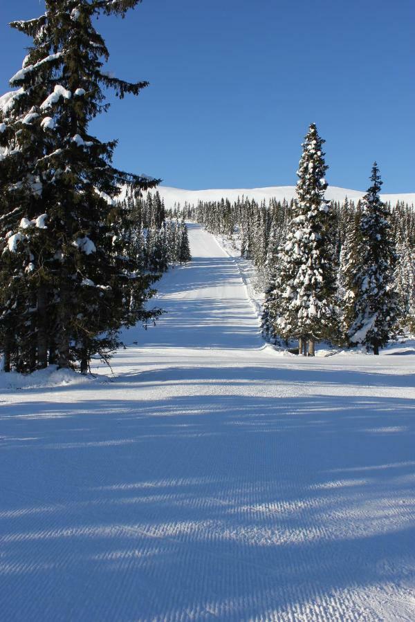 Lillebjorn Trysil Exterior foto